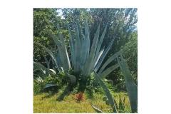 Vila Ana Apartmán 1 foto 3