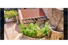 Petra Apartmány Apartmán 6 foto 1