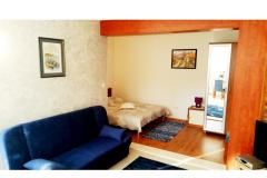  Rajcic apartmani Apartmán 3 – studio2+1 foto 2