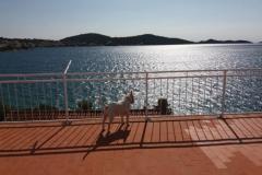 Apartmány Bebe Apartmán 1 – terasa foto 2