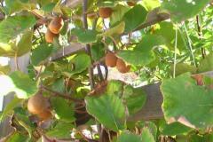 Jamnik Apartmán 3 foto 3