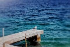 Dům Roko Apartmán 1 foto 1