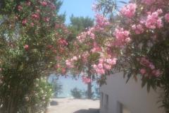 Dům k odpočinku Milenka Apartmán 2 – apartman foto 3