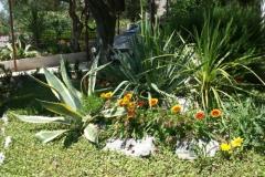 Santa Chiara Apartmány Apartmán 4 – apartman 4 foto 5