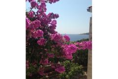 Vesna apartmani Apartmán 2 – A2 foto 1