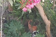 1918 Apartmán centar Šibenik Apartmán 1 – 1918 apart foto 2