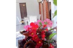 Villa Aura Maris Apartmán 2 – Anka foto 2