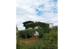 Apartmány Maja Apartmán 2 – APARTMAN 2 foto 5