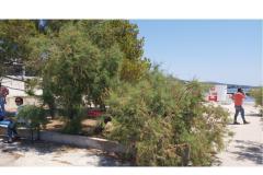 Apartmány Mile Apartmán 3 foto 6