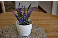 Apartmány Brksi  Apartmán 2 – AP2 foto 1