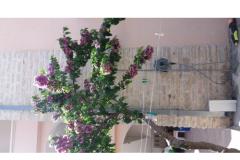 Apartmány Šošo Apartmán 2 – Apartman 3 foto 4