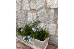 Apartmány Tri palme Apartmán 2 – apartman 3 foto 4