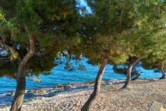 Apartmány Vujica  Apartmán 1 foto 1