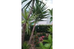 Apartmány Jauca Apartmán 3 foto 1