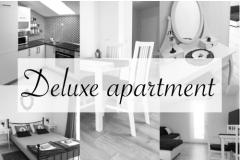 Logos Apartmán 1 – Delux foto 1