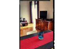 Lu-Do Apartmány Apartmán 1 foto 5