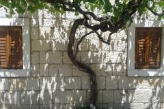 Stara kuća Apartmán 1 – Stara kuća foto 2