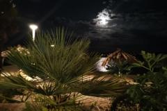 Villa Kairos Pokoj 7 foto 1