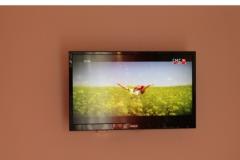 Apartmány Love Tučepi Apartmán 3 – NARANČASTI foto 5