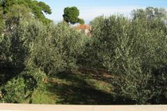 Apartmány Ante Apartmán 1 foto 5