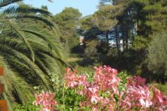 Apartmány Branko Vidaković Apartmán 3 foto 1