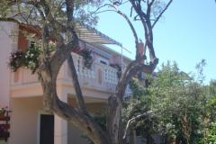 Apartmány Branko Vidaković Apartmán 1 foto 5