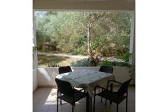 Apartmány Galius Ugljan Apartmán 1 – Galius A1 foto 3