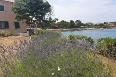 Kućerina Batalaža Apartmán 1 foto 6