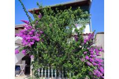 Apartmány Delfin Apartmán 2 – prizemlje foto 1