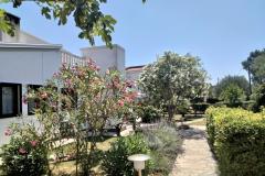 Apartmány Budija / Lavanda Apartmán 1 – Lavanda 1 foto 2
