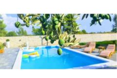 Villa Dora Apartmán 1 – Villa Dora foto 1