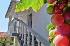 Zoka Apartmán 3 foto 4