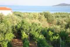 Antonela  Apartmán 4 – Seaview D foto 4