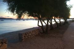 Kiwi Dům Apartmán 1 foto 1