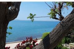 Apartmány Benić Apartmán 2 – Apart 3 foto 5