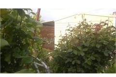 Apartmány DANI Apartmán 1 – HomeM. M4 foto 5