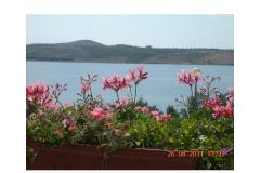 Apartmány Lora Apartmán 2 – A2 foto 1