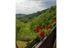 Apartmány Potočki Apartmán 1 – Apartman 1 foto 1