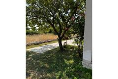Apartmány Ana Ercegović  Apartmán 1 – Apartman 1 foto 2
