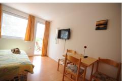 Appartement Graf Apartmán 1: (2+0) – Studio Ap. foto 5