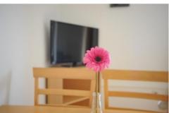 Appartement Graf Apartmán 3: (2+4) – Ap 2+3 foto 4