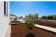 Dalma Park Apartmán 1 – Natura Lux foto 3