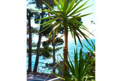 Apartmány Anita Jelaš Veža Apartmán 3 – JELAŠ A4+1 foto 1