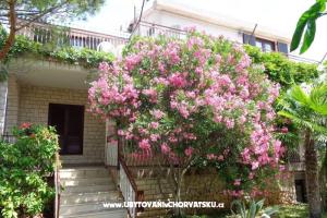 Apartmani  IVAN   – Vodice