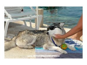 AG Komarna | Pelješac B. Apartments