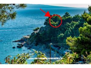Apartmány Hajdi