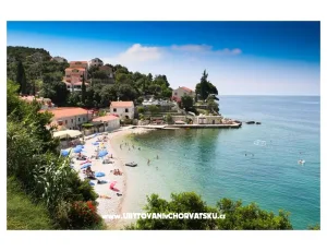 Fig & Olive apartments