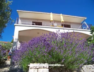 Apartm�ny Stipi�i�