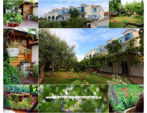 Jadranka Frani�evi�