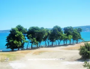 Rumin Apartm�n 6+2